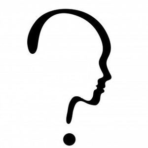 Meet your Posher, Lizy